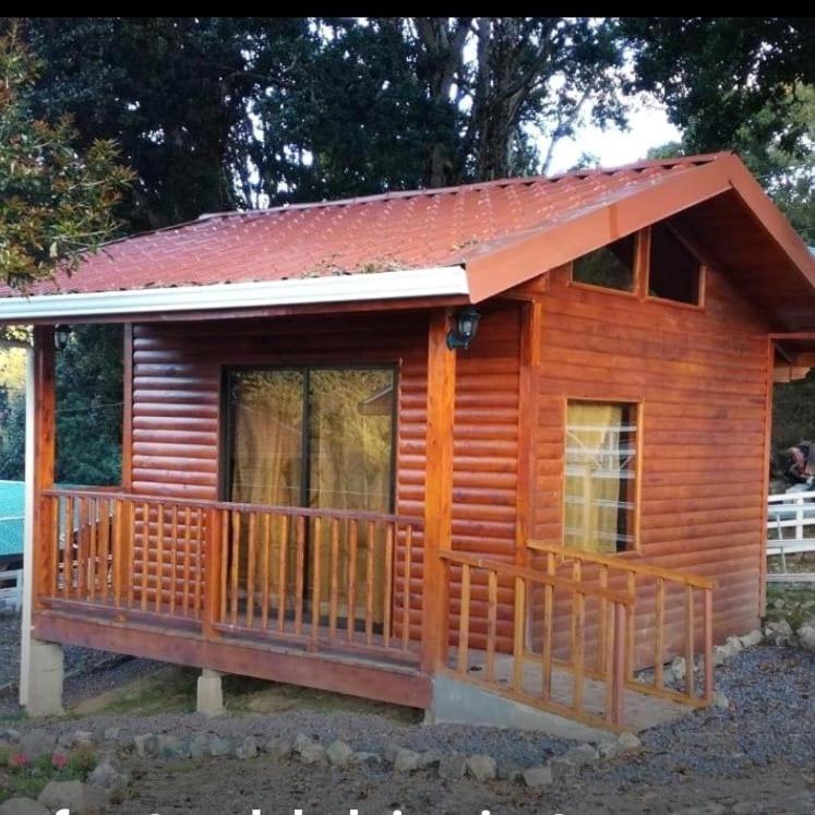 Vista el cerro cabina sangerardo San Gerardo de Dota Exterior foto