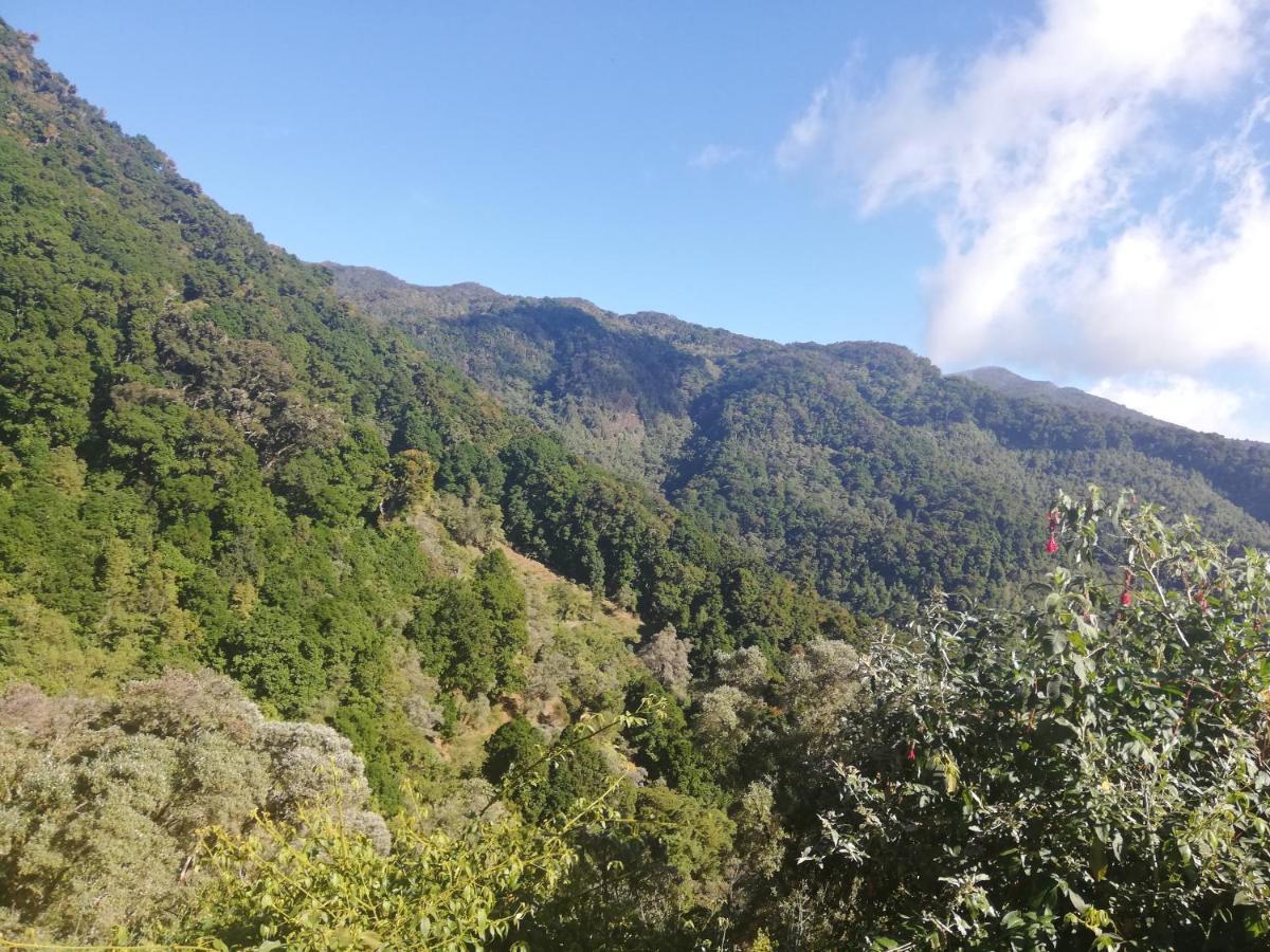 Vista el cerro cabina sangerardo San Gerardo de Dota Exterior foto