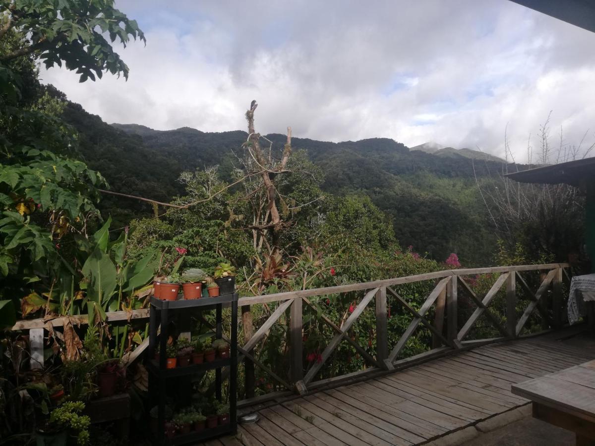 Vista el cerro cabina sangerardo San Gerardo de Dota Exterior foto